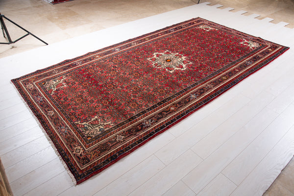Persian Vintage Rug Red Soft 5x11 Wool Carpet Toronto