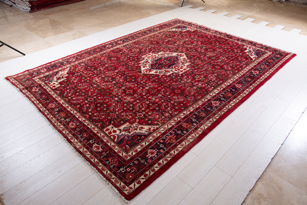 Persian Rug 7x10 Red Oriental Carpet Soft