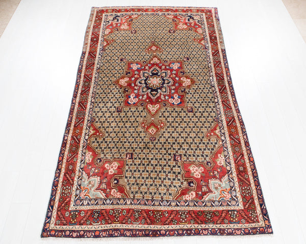 9' 9" x 5' Excellent Hand-Knotted Collectible Soft Tribal Rug - Yasi & Fara 
