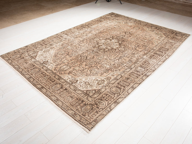 9' 6" x 6' 4" Excellent Hand-Knotted Antique Neutral Area Rug - Yasi & Fara 