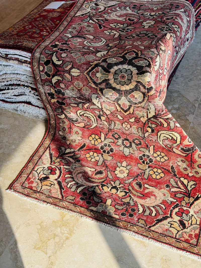 5' 10" x 3' 4" Excellent Hand-Knotted Antique Collectible Tribal Rug - Yasi & Fara 