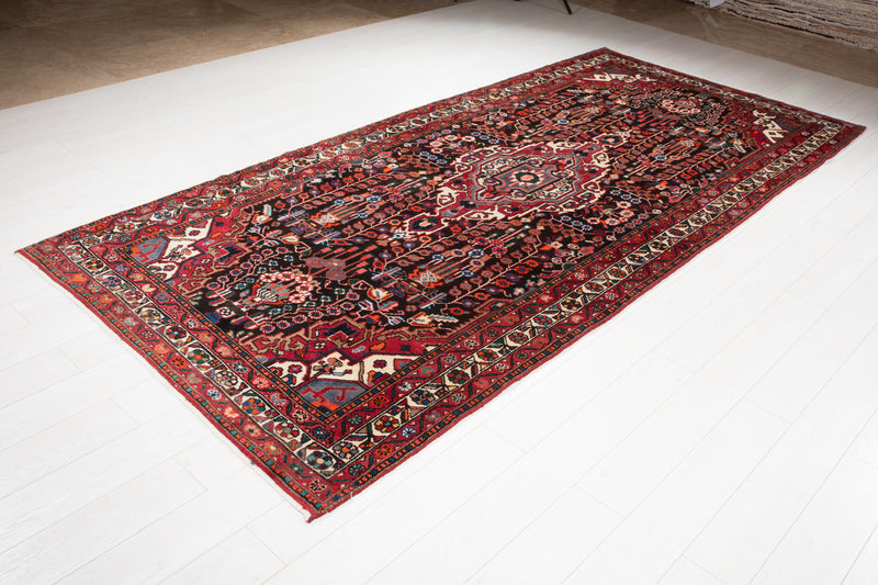 11' 3" x 5' 3" Excellent Hand-Knotted Collectible Tribal Rug - Yasi & Fara 
