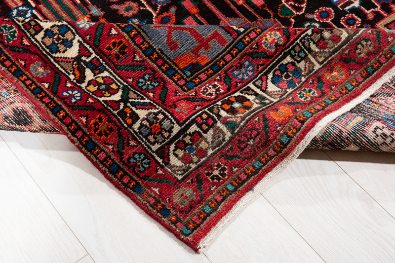 11' 3" x 5' 3" Excellent Hand-Knotted Collectible Tribal Rug - Yasi & Fara 