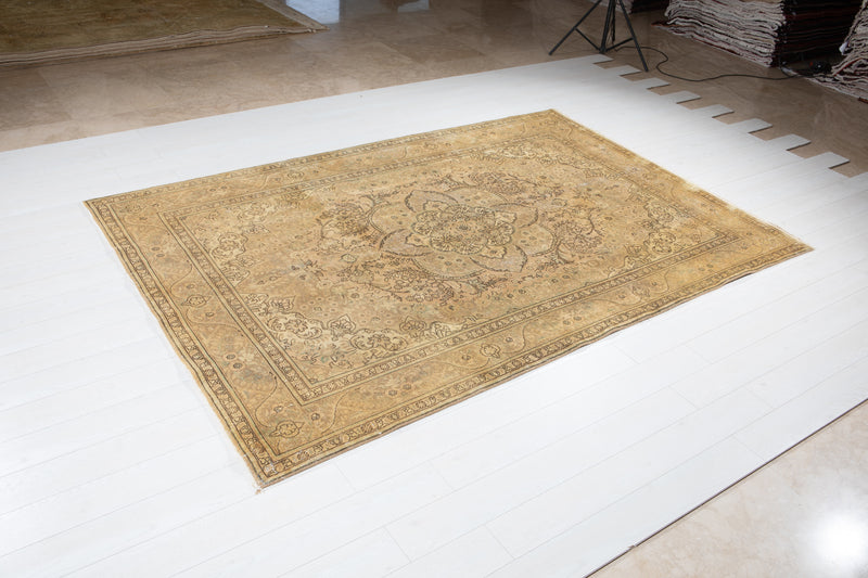 9' 6" x 6' 5" Excellent Hand-Knotted Antique Earth Tone Area Rug - Yasi & Fara 
